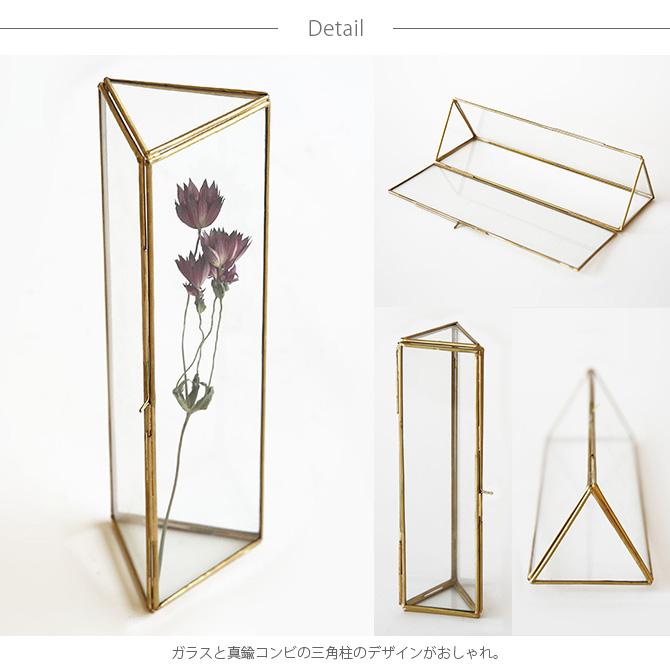 ガラスケース ディスプレイ おしゃれ 花 グリーン Horn Please ホーン プリーズ Brass ケース トライアングル S Ga Uminecco ウミネッコ 通販 Yahoo ショッピング