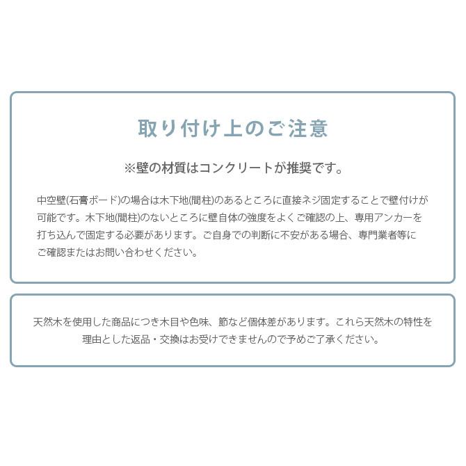 猫用 キャットステップ キャットウォーク 壁付け 壁掛け キャットステップ MYZOO マイズー OBLONG 透明キャットステップ 60cmの画像