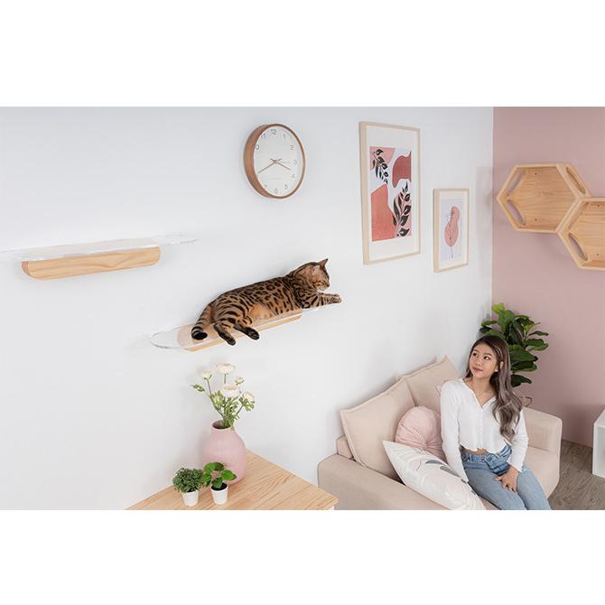 猫用 キャットステップ キャットウォーク 壁付け 壁掛け キャットステップ MYZOO マイズー OBLONG 透明キャットステップ 60cmの画像