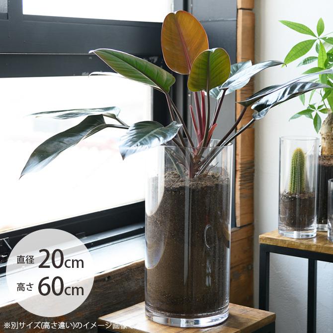 フラワーベース 花瓶 透明 大型 ポリカーボネート Foyer ホワイエ Pvシリンダー 直径cm 高さ60cm クリア Ga Uminecco ウミネッコ 通販 Yahoo ショッピング