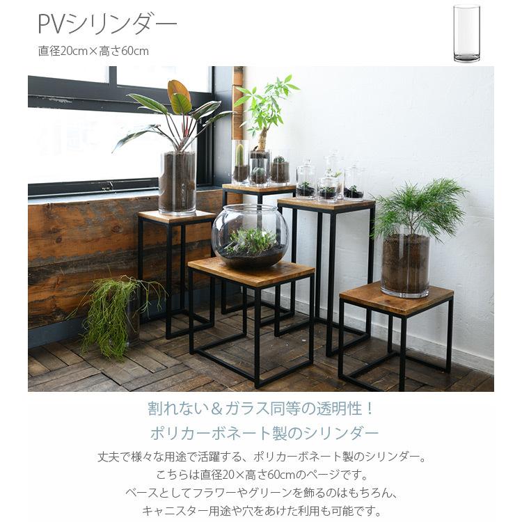 フラワーベース 花瓶 透明 大型 ポリカーボネート FOYER ホワイエ PV 