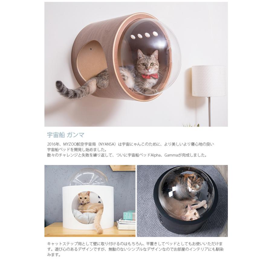 キャットステップ キャットウォーク MYZOO マイズー 壁付 キャット