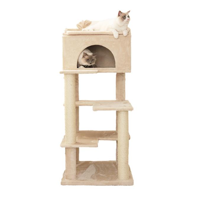 SPスペイン軍＊青師団/第250歩兵師団＊襟ボタン穴用メンバー