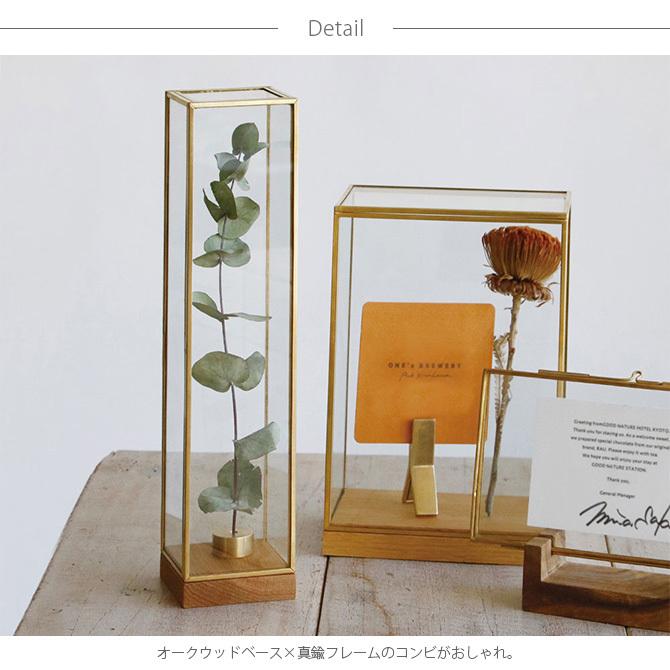 ディスプレイボックス ガラス 真鍮 おしゃれ ドライフラワー Horn