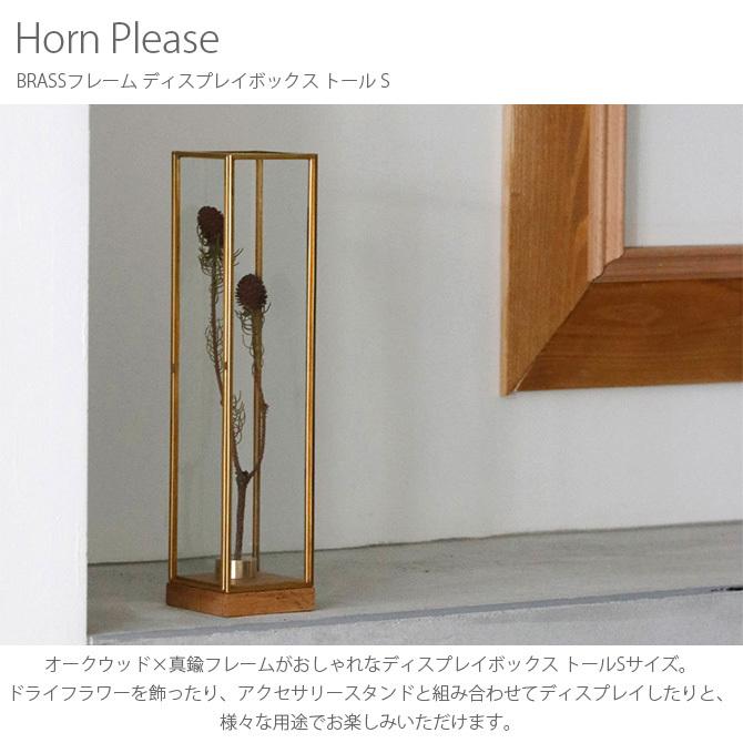 ディスプレイボックス ガラス 真鍮 おしゃれ ドライフラワー Horn