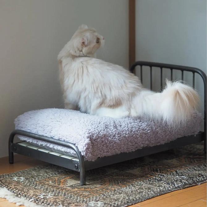 猫 ベッド ペットベッド おしゃれ フレーム ジャーナルスタンダード