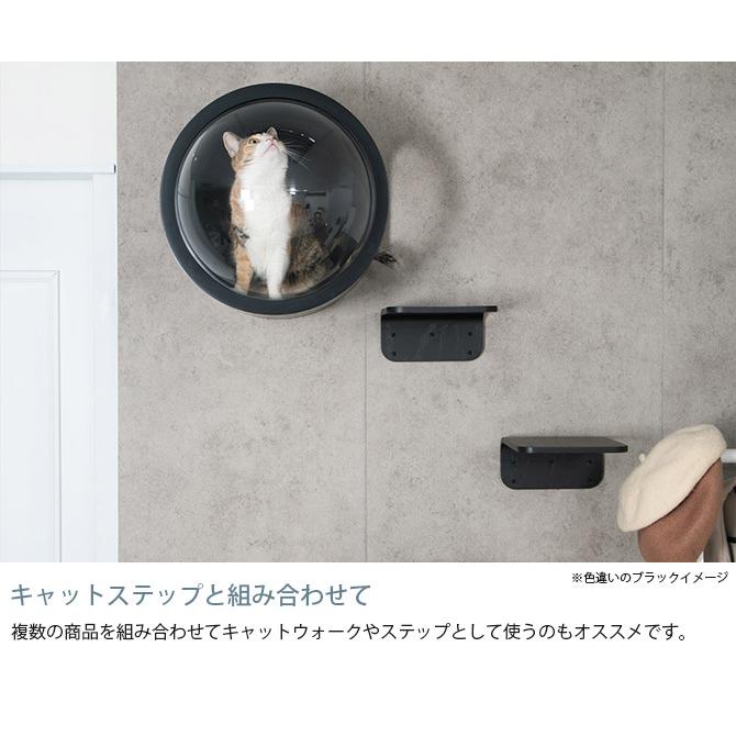 猫 キャットステップ キャットウォーク MYZOO マイズー Lack M ラック