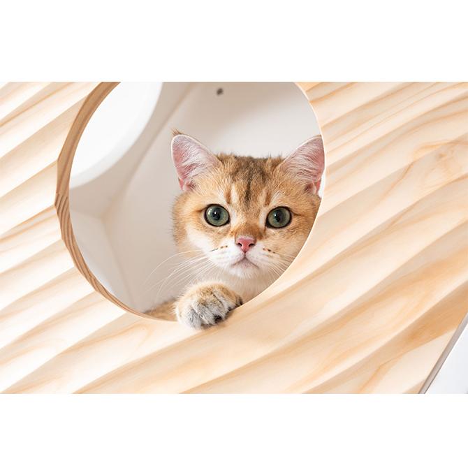猫 ハウス スツール 六角 ウェーブ キャットステップ MYZOO マイズー