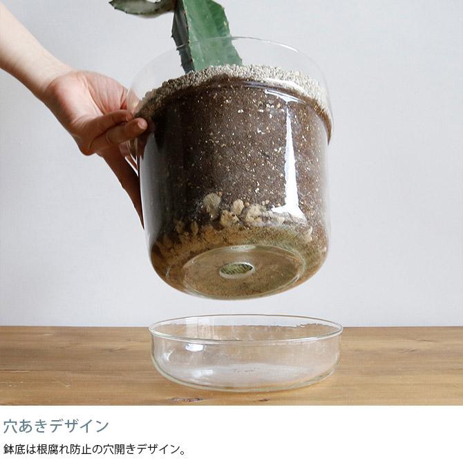 ポット 植木鉢 ガラス 7号鉢 おしゃれ shesay シセイ リューズ