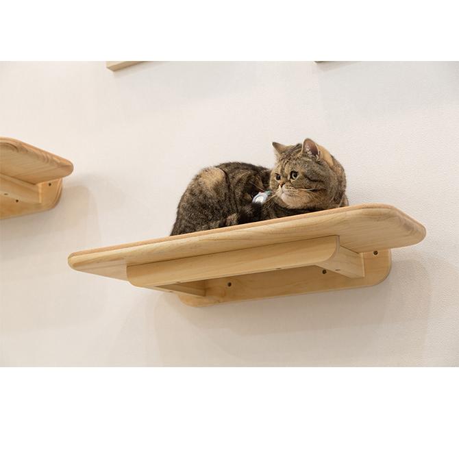 キャットステップ 猫 ステップ 壁 上下運動 MYZOO マイズー CORK