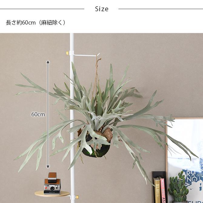 フェイクグリーン おしゃれ ハンギング シダ 人工観葉植物 Brown 