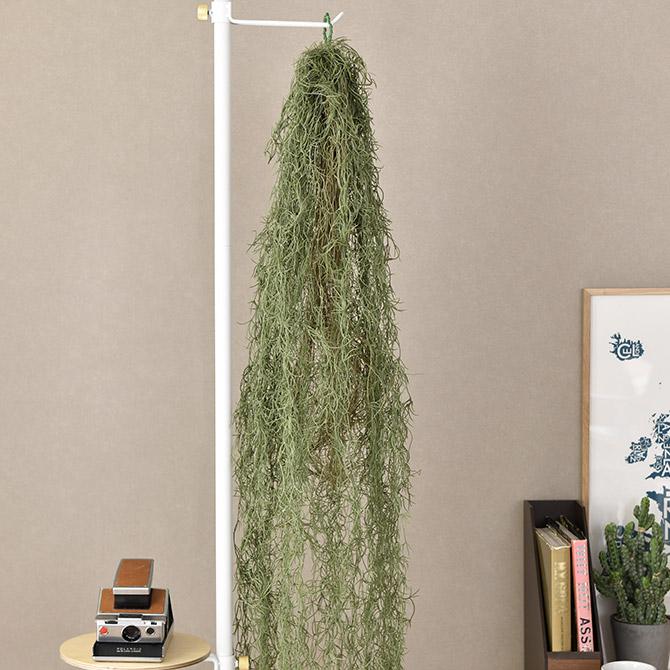 フェイクグリーン おしゃれ ハンギング 人工観葉植物 Brown. ブラウン