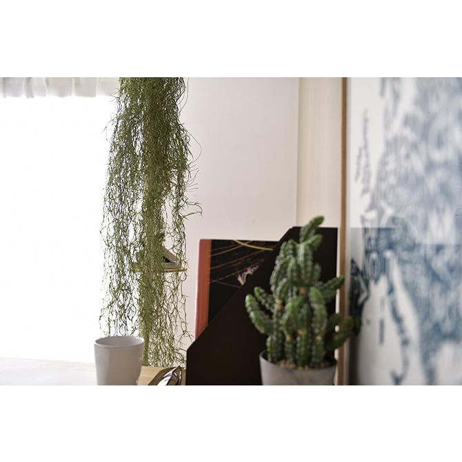 フェイクグリーン おしゃれ ハンギング 人工観葉植物 Brown. ブラウン