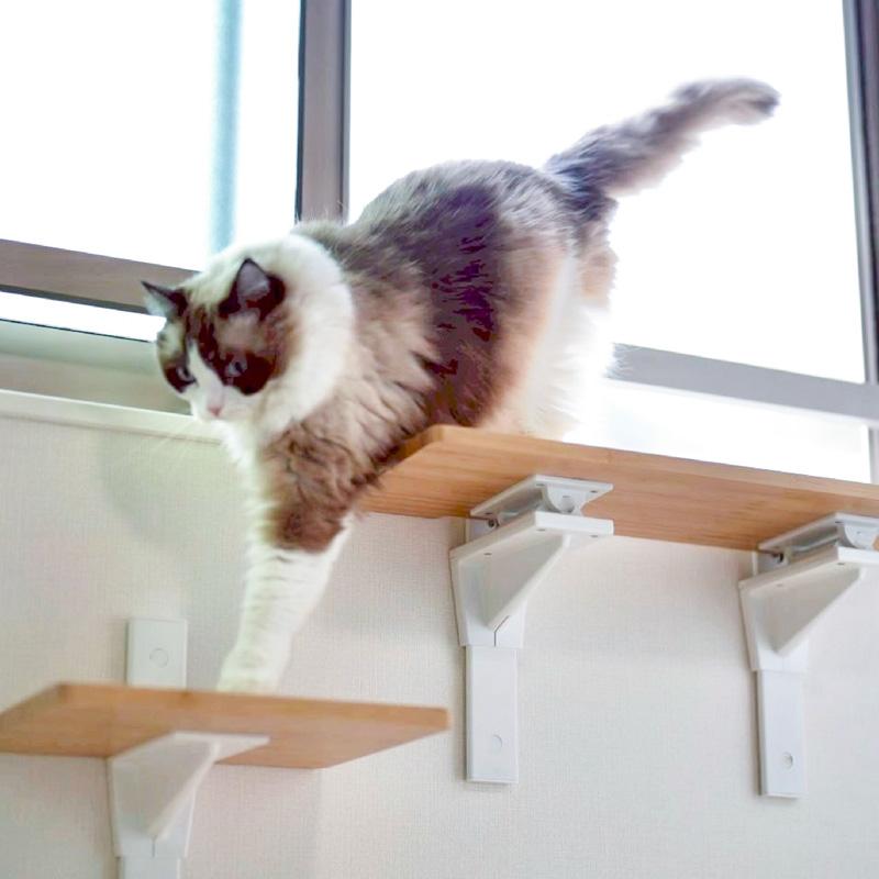 キャットステップ キャットウォーク 猫用 壁掛け家具 シンプル 平安伸