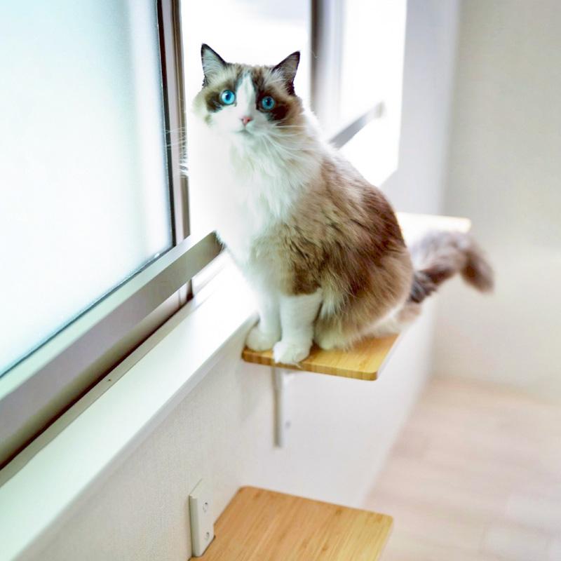 キャットステップ キャットウォーク 猫用 壁掛け家具 シンプル 平安伸