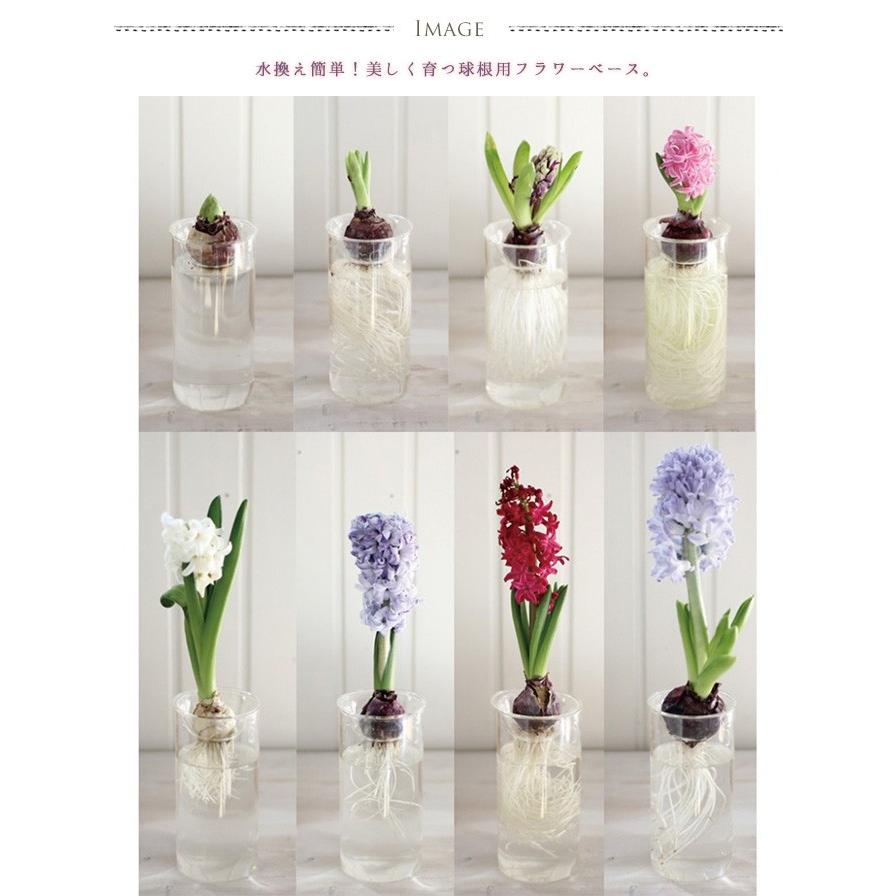 フラワーベース ガラス テラリューム 多肉植物 サボテン テラリウム Bulb Vase Long 球根用フラワーベース Ga Uminecco ウミネッコ 通販 Yahoo ショッピング