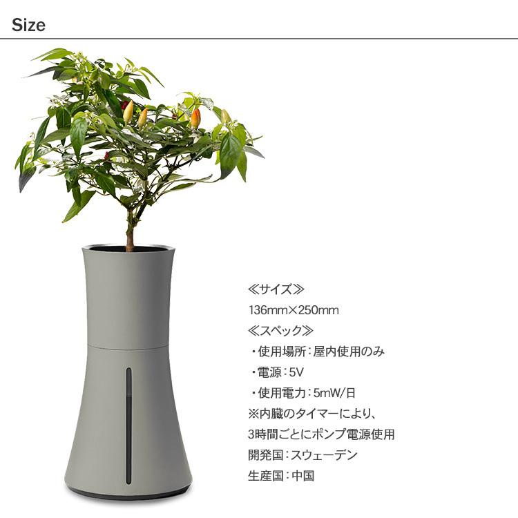水耕栽培 キット Botanium ボタニアム 自動散水式プランター 栽培キット かわいい おしゃれ 初心者 室内 簡単 ハーブ Mbm 0529 Uminecco ウミネッコ 通販 Yahoo ショッピング