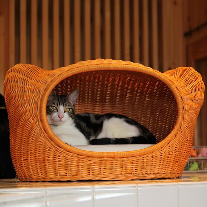 キャットベッド 猫用ベッド ベッド ハウス クッション ラタン