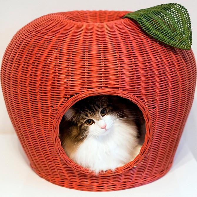 キャットベッド 猫用ベッド ベッド ハウス クッション 猫 ラタン
