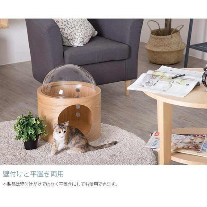 猫 キャットウォーク キャットステップ ベッド ハウス MYZOO マイズー