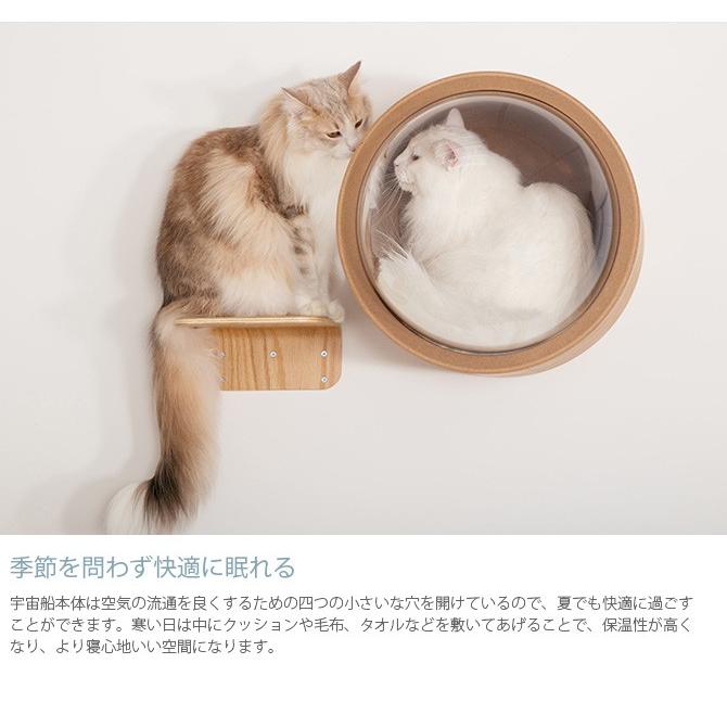 猫 キャットウォーク キャットステップ ベッド ハウス MYZOO マイズー