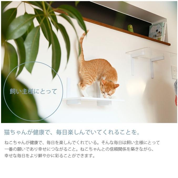 猫 賃貸 小さい穴 キャットステップ キャットウォーク キャット