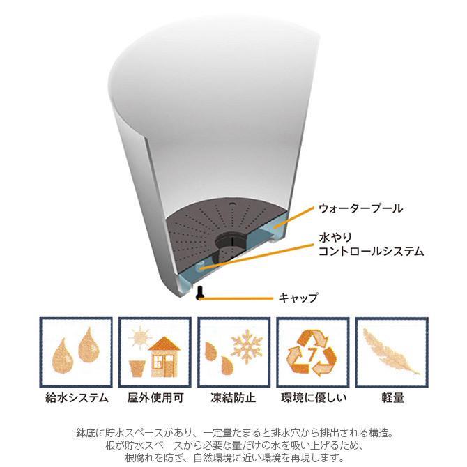 プランター 鉢 ポット おしゃれ 長方形 amabro アマブロ ART STONE アート ストーン コンテナスクエア M |  | 06