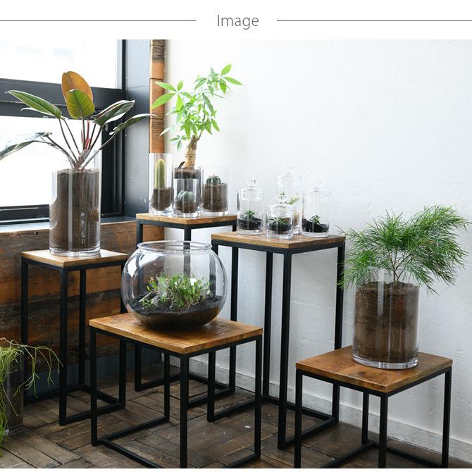 フラワーベース 花瓶 透明 キャニスター ポリカーボネート FOYER 