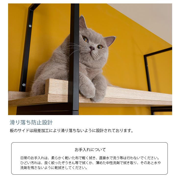 猫用 猫 キャットステップ キャットウォーク クリア MYZOO マイズー