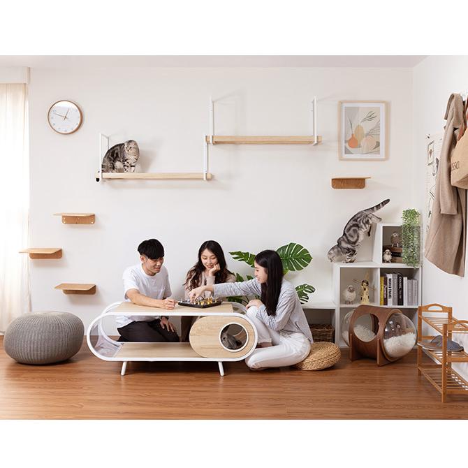 猫用 猫 キャットステップ キャットウォーク クリア MYZOO マイズー