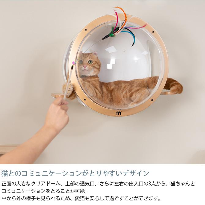 猫 キャットウォーク キャットステップ ベッド キャットハウス MYZOO
