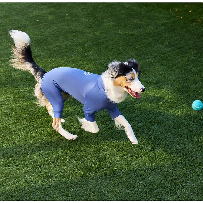 ドッグウェア 犬の服 夏用 接触冷感 防虫 MANDARINE BROTHERS