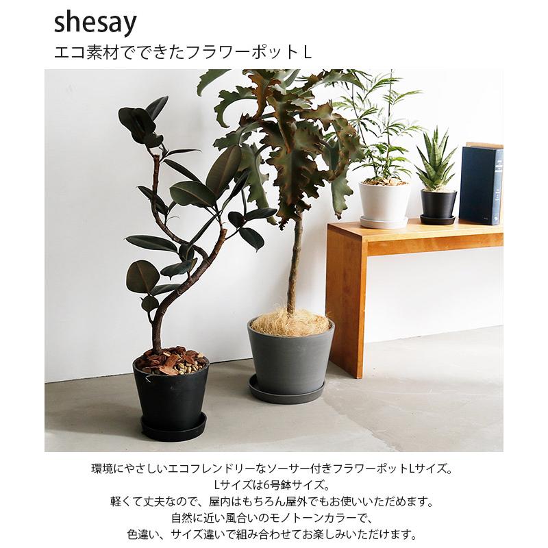 ポット 植木鉢 おしゃれ 6号 エコ shesay シセイ エコ素材でできた