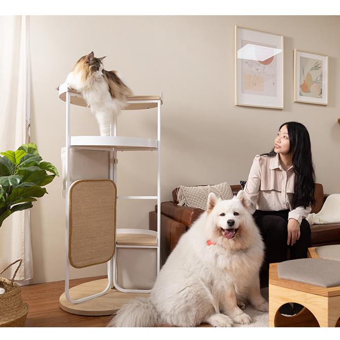 猫 キャットタワー 据え置き おしゃれ コンパクト MYZOO 猫 キャットタワー 据え置き おしゃれ コンパクト MYZOO