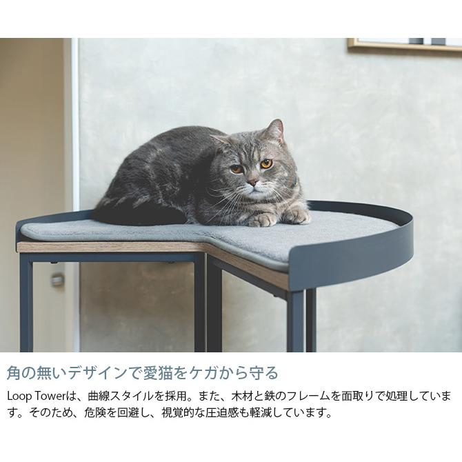 猫 キャットタワー 据え置き おしゃれ コンパクト MYZOO 猫 キャットタワー 据え置き おしゃれ コンパクト MYZOO