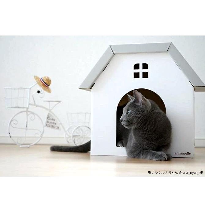 キャットステップ 猫用 猫 ステップ ハウス animacolle アニマコレ キャットハウス｜girlyapartment｜18