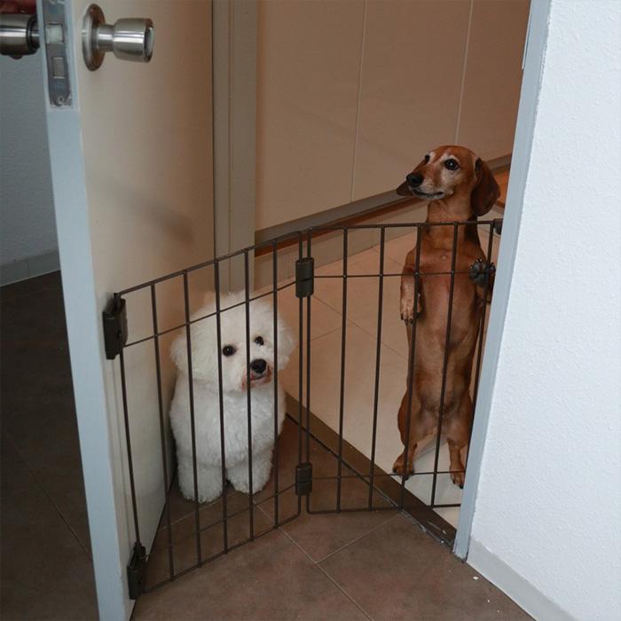 犬用 フェンス 玄関 ゲート ペット用フェンス ウェルカムドッグ