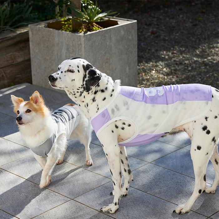 MANDARINE BROTHERS（マンダリンブラザーズ） 犬の服 ドッグウェア 犬