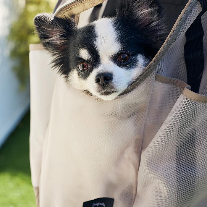 MANDARINE BROTHERS（マンダリンブラザーズ） 犬用 ペット用 前抱き