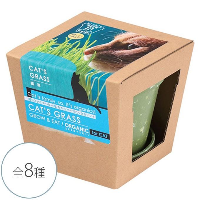 栽培キット 猫草 簡単 安全 手軽 育てて食べる 野菜 栽培セット オーガニック Mpg 3065 Uminecco ウミネッコ 通販 Yahoo ショッピング