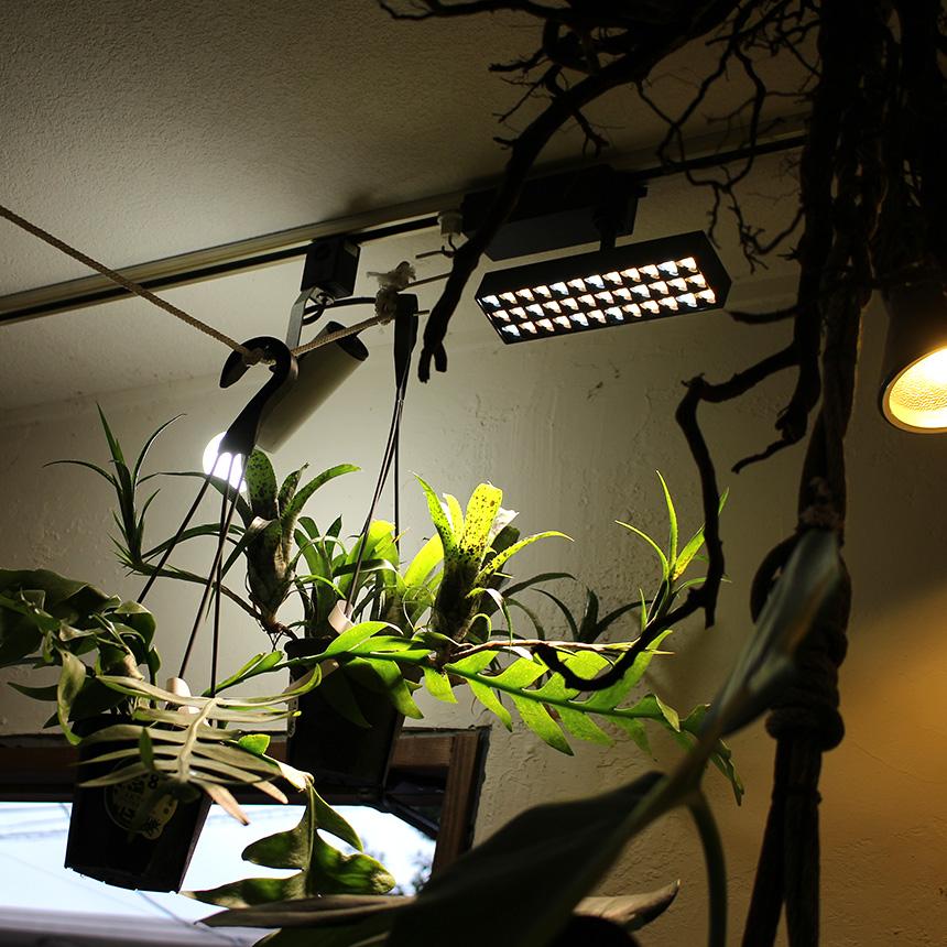 【セット】植物育成ライト・ダクトレール Amazon | FSLiving 植物育成用セット ダクトレール1本