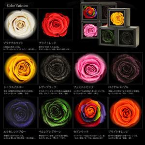 結婚指輪 10大特典あり マリッジリング10金ホワイトゴールド（2211-4239）の画像