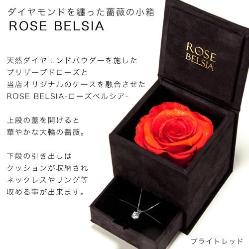 ペアネックレス スワロフスキー キュービックジルコニア 美女と