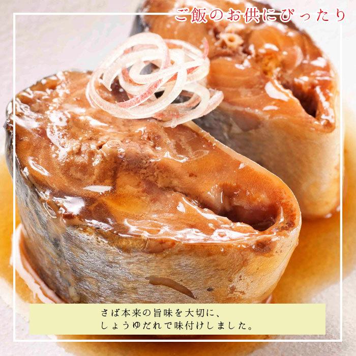 缶詰 魚 防災 非常食 鯖缶 味付け缶 12缶 セット 宝幸 HOKO 日本 缶詰 魚 防災 非常食 鯖缶 味付け缶 12缶 セット 宝幸 HOKO 日本