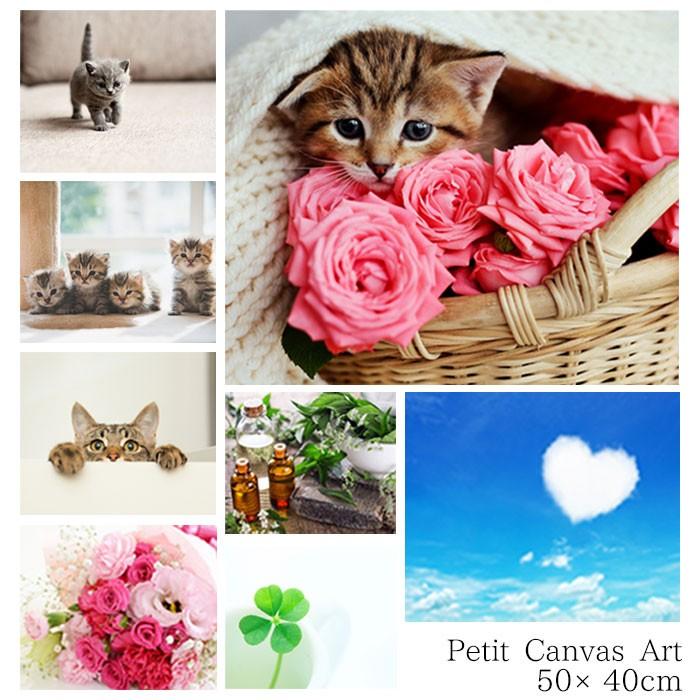 ポスター おしゃれ インテリア アートポスター Petit Canvas Art 3x250x25mm 写真 プチ アート キャンバス フレーム Bi Zakka Green 通販 Yahoo ショッピング