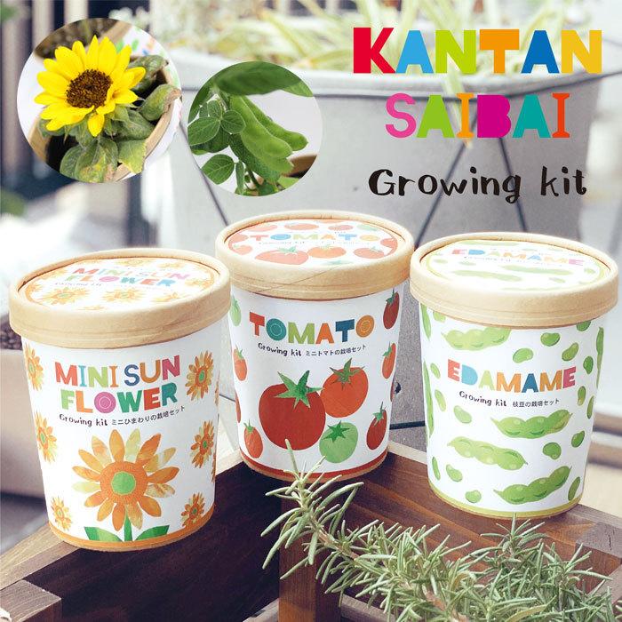 可愛いクリスマスツリーやギフトが 栽培キット かわいい プレゼント 栽培セット 誰でもかんたん 育てる 野菜 花 トマト ひまわり 枝豆 Cg 401 野菜栽培 エコポット 母の日