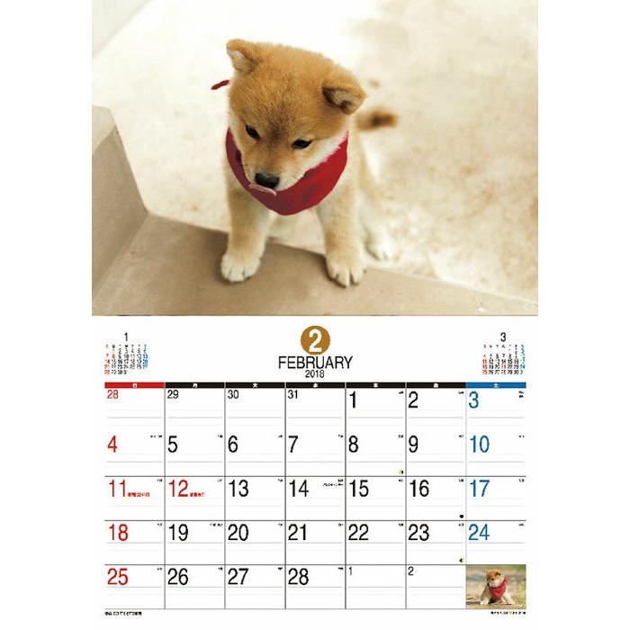 カレンダー 18 壁掛け 動物 コロコロマメシバ プレゼントカレンダー まめしば 犬 柴犬 ドッグ 販売中 Tcl151 Zakka Green 通販 Yahoo ショッピング