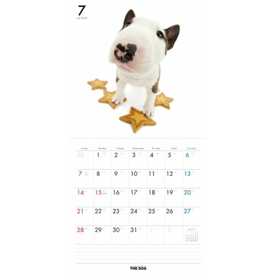 カレンダー 19 壁掛け 犬 ブル テリア 壁掛けカレンダー 動物 プレゼント Tcl Zakka Green 通販 Yahoo ショッピング
