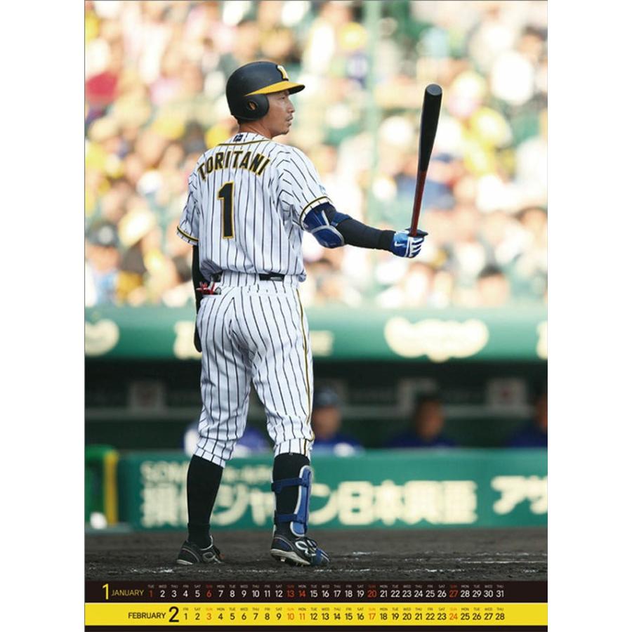 カレンダー 19 壁掛け 壁掛けカレンダー 鳥谷敬 阪神タイガース スポーツ 野球 ベースボール プレゼント Tcl Zakka Green 通販 Yahoo ショッピング