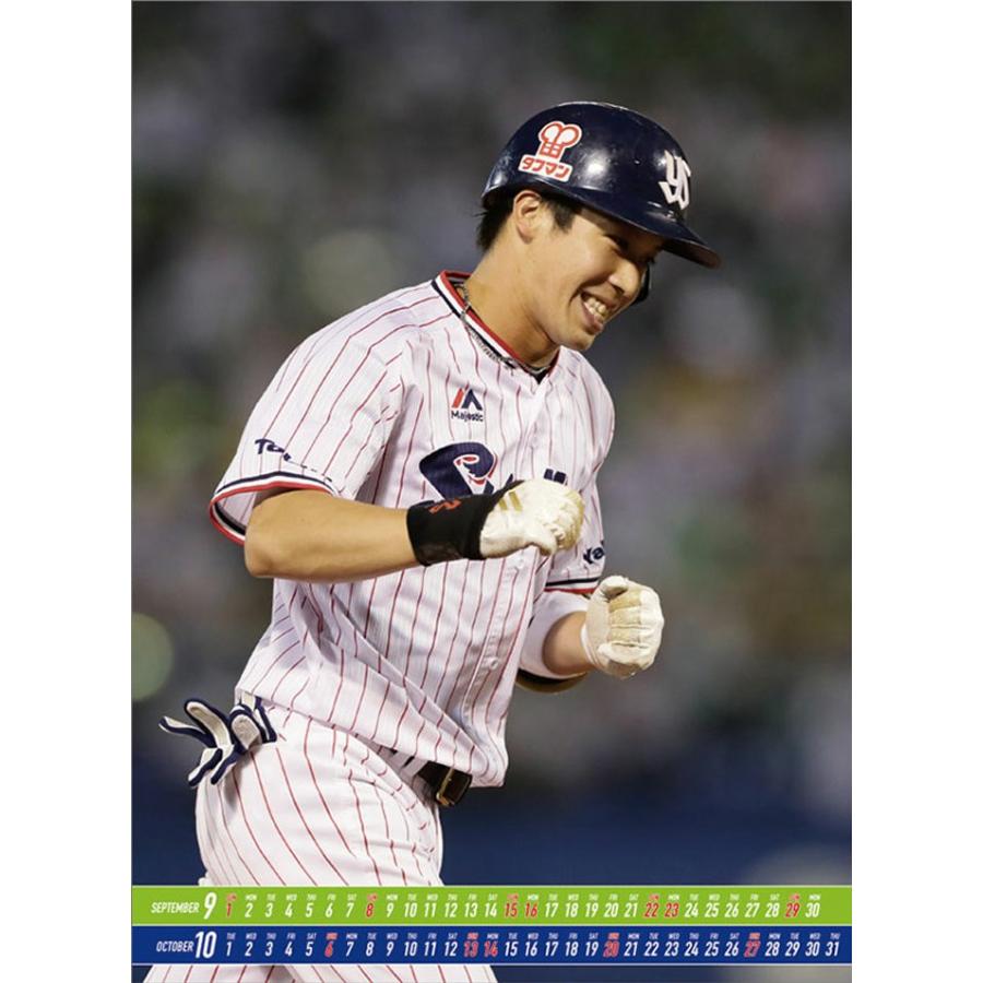 カレンダー 19 壁掛け 壁掛けカレンダー 山田哲人 東京 ヤクルト スワローズ スポーツ 野球 ベースボール プレゼント Tcl Zakka Green 通販 Yahoo ショッピング